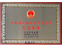 海利常德公司榮獲“湖南省抗擊新冠肺炎疫情先進集體”、彭長春獲“先進個人”